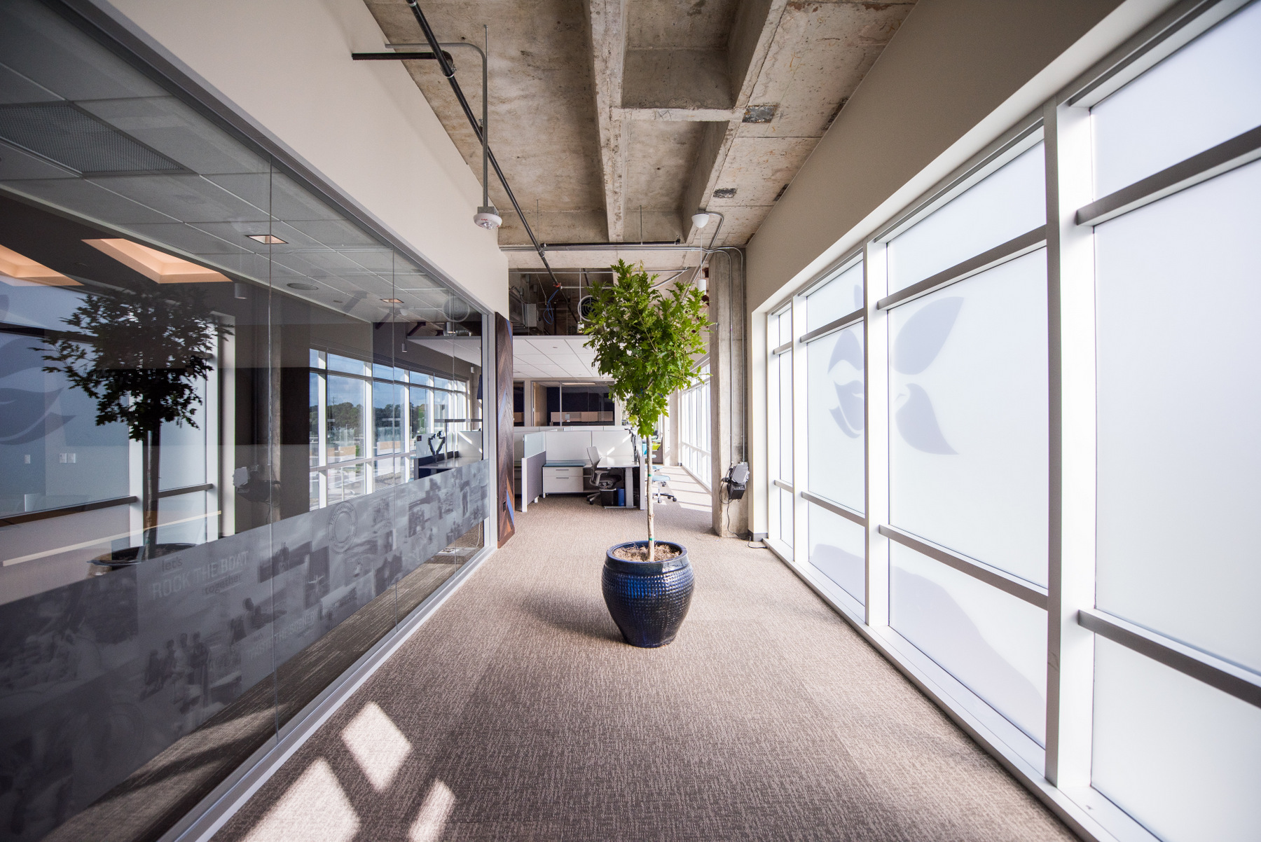 合肥2000平方现代简约办公室装修案例分析(图3)