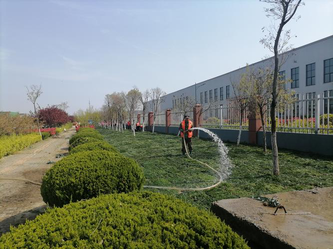 安徽皖新电机有限公司厂区园林绿化养护及改造工程(图3)